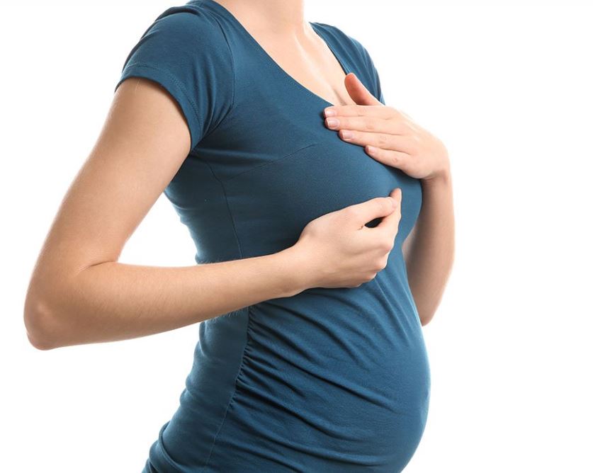 Ngực phụ nữ khi mang thai thay đổi thế nào?